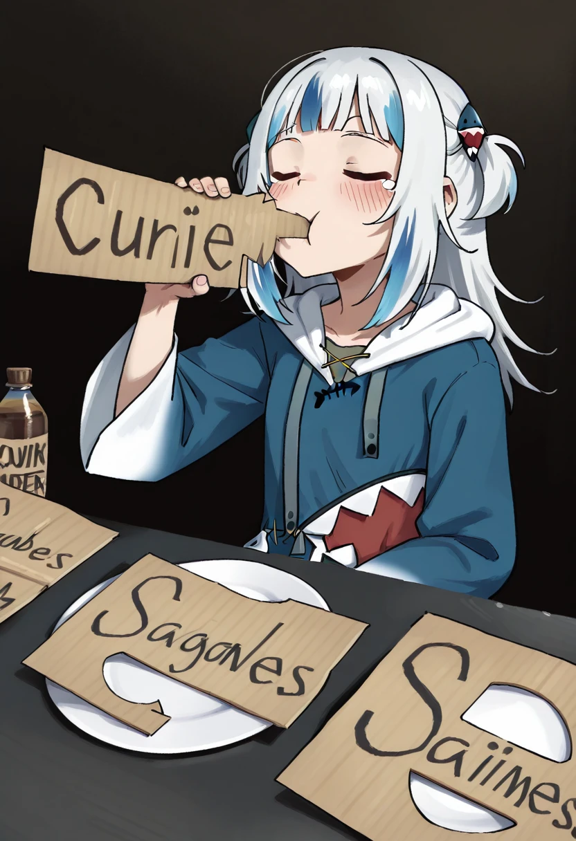 Cardboard Dinner I Meme Pose Concept I IllustriousXL and NoobAI - by androidxl