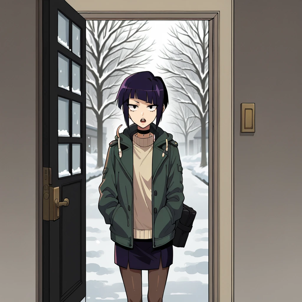 Front Door - by Navedaxu