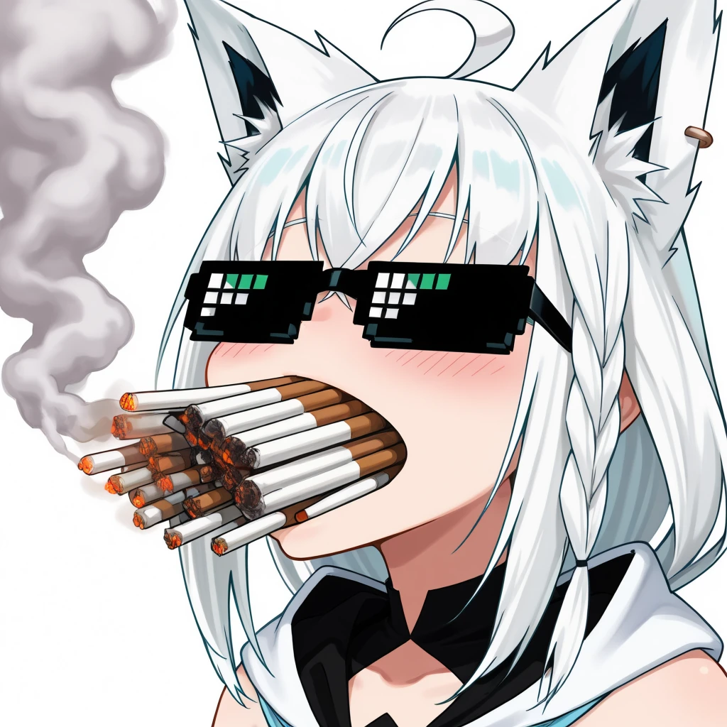 Gentlemen Meme - Too Many in Mouth - NoobAI EPS1.1/ Noobai11EQB7 - by miniphak