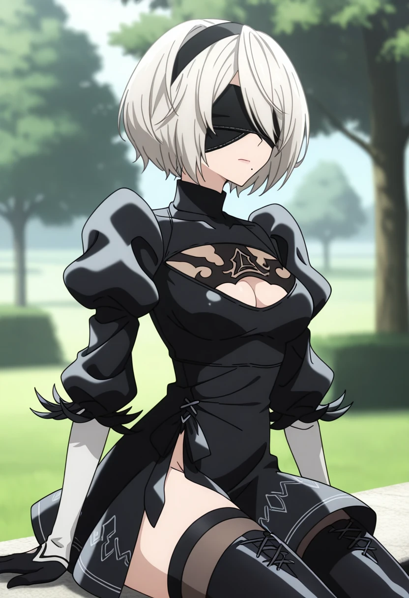 YoRHa 2B & 2P/ヨルハ二号B型と二号P型- Nier Automata | Illus Characters - by IndolentCat